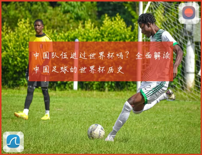 中国队伍进过世界杯吗？全面解读中国足球的世界杯历史