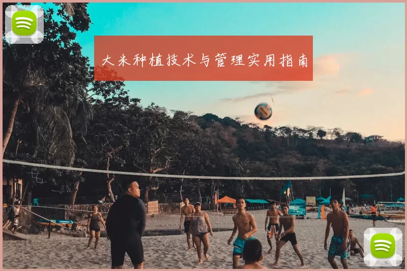 大米种植技术与管理实用指南