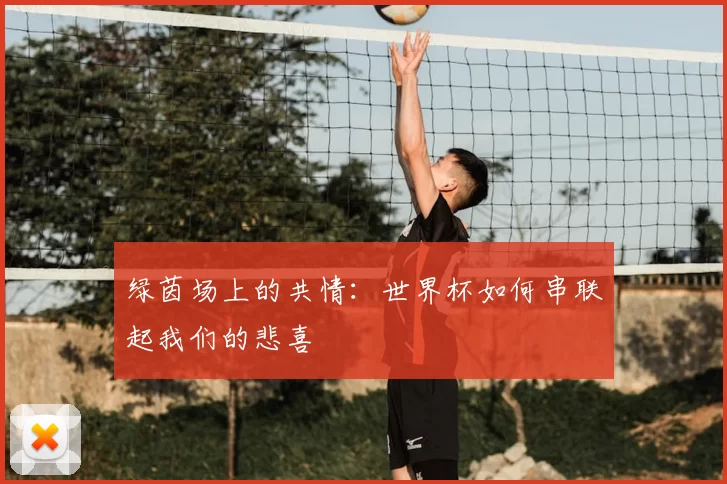 绿茵场上的共情:世界杯如何串联起我们的悲喜