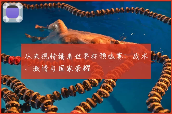 从央视转播看世界杯预选赛:战术、激情与国家荣耀