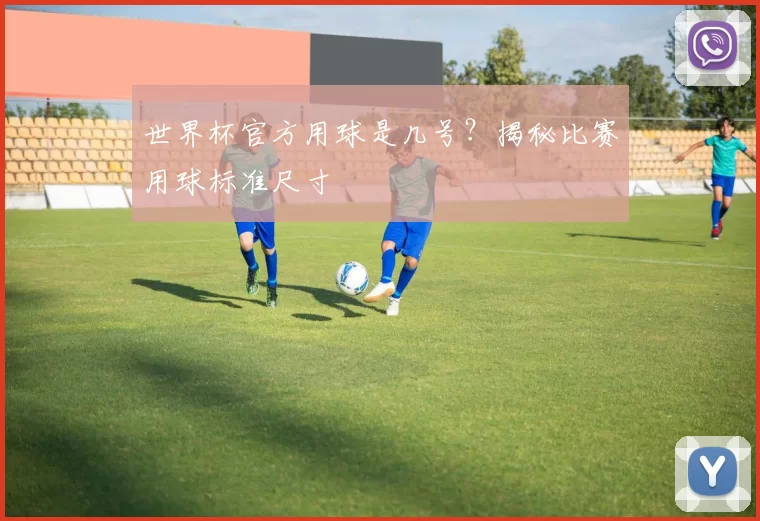 世界杯官方用球是几号?揭秘比赛用球标准尺寸