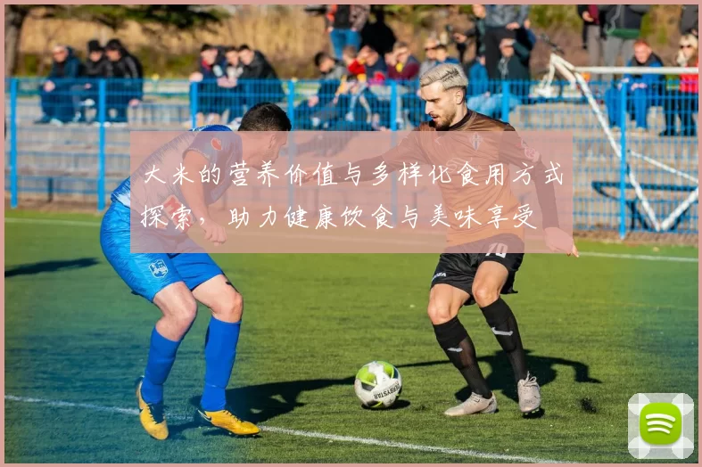 大米的营养价值与多样化食用方式探索,助力健康饮食与美味享受