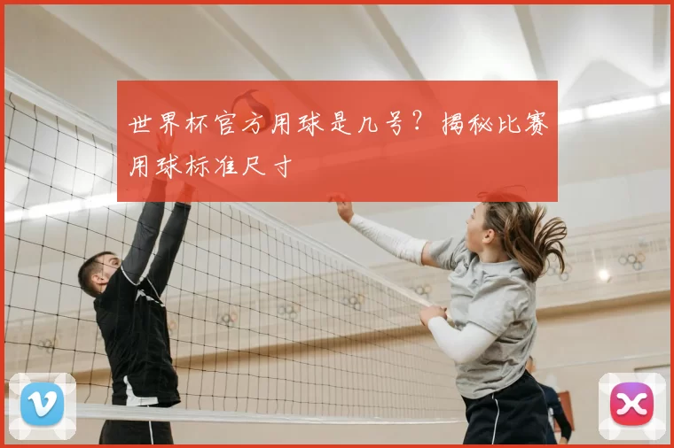 世界杯官方用球是几号?揭秘比赛用球标准尺寸