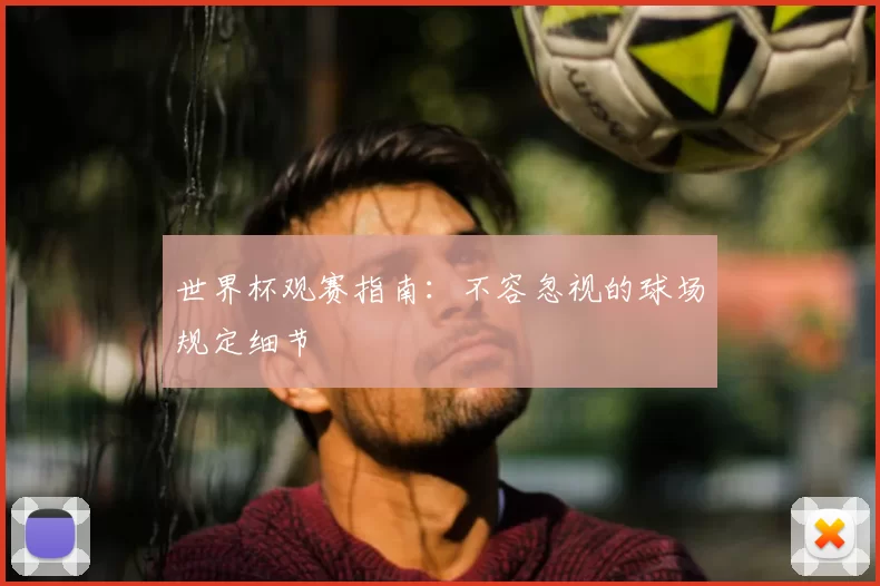 世界杯观赛指南：不容忽视的球场规定细节