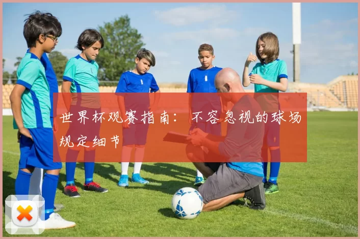 世界杯观赛指南:不容忽视的球场规定细节