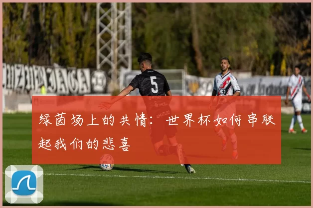 绿茵场上的共情:世界杯如何串联起我们的悲喜