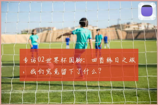 专访02世界杯国脚:回首韩日之旅,我们究竟留下了什么?