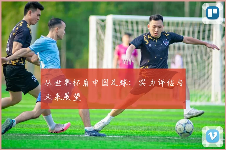 从世界杯看中国足球：实力评估与未来展望