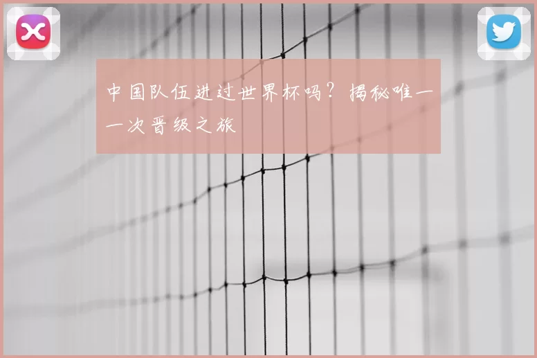 中国队伍进过世界杯吗？揭秘唯一一次晋级之旅