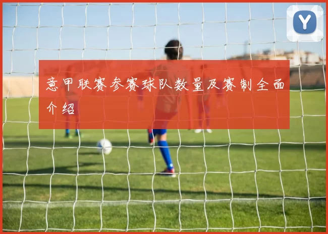 意甲联赛参赛球队数量及赛制全面介绍