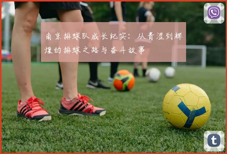 南京排球队成长纪实:从青涩到辉煌的排球之路与奋斗故事