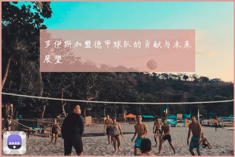 罗伊斯加盟德甲球队的贡献与未来展望