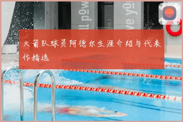 火箭队球员阿德尔生涯介绍与代表作精选