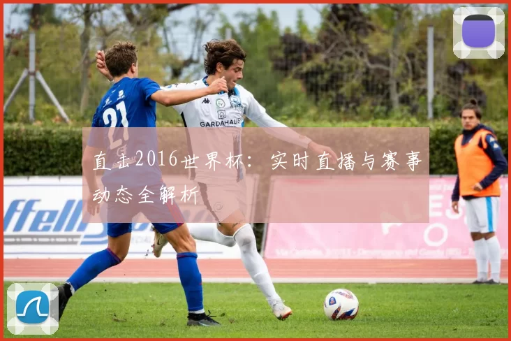 直击2016世界杯:实时直播与赛事动态全解析