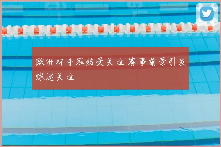 欧洲杯夺冠赔受关注 赛事前景引发球迷关注