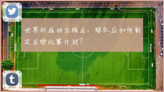 世界杯成功出线后,球队应如何制定后续比赛计划?