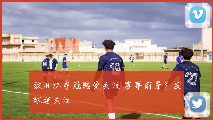 欧洲杯夺冠赔受关注 赛事前景引发球迷关注