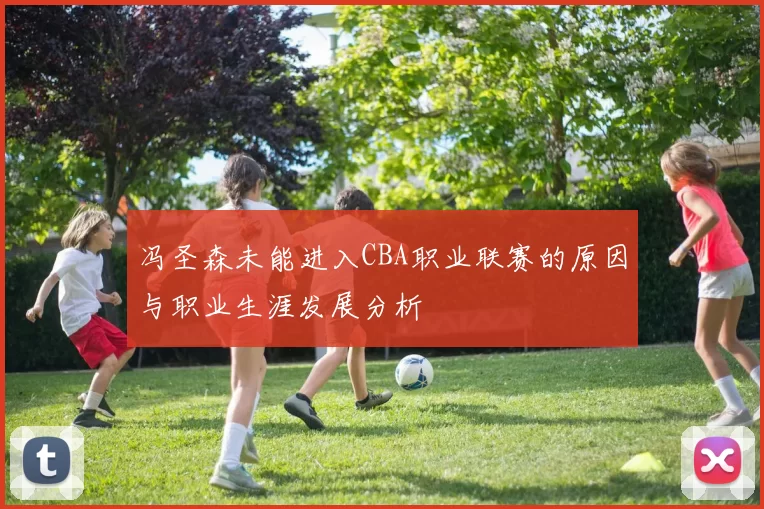 冯圣森未能进入CBA职业联赛的原因与职业生涯发展分析