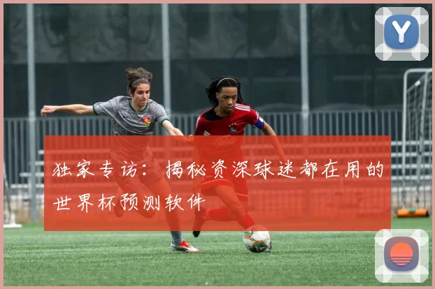 独家专访:揭秘资深球迷都在用的世界杯预测软件