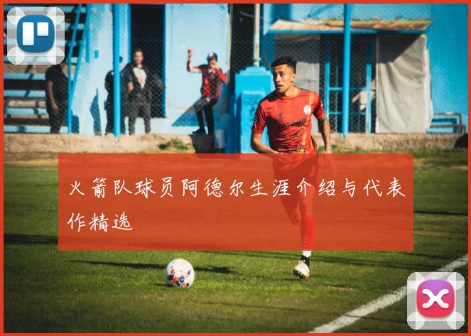 火箭队球员阿德尔生涯介绍与代表作精选